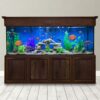 Clear-For-Life 300 Gallon Rectangle Aquarium