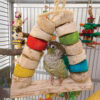 Natural Rings Parrot Toy