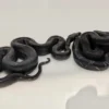 Black Devil Boa for sale