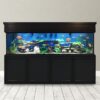 Clear-For-Life 300 Gallon Rectangle Aquarium