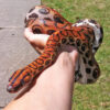 Brazilian Rainbow Boa